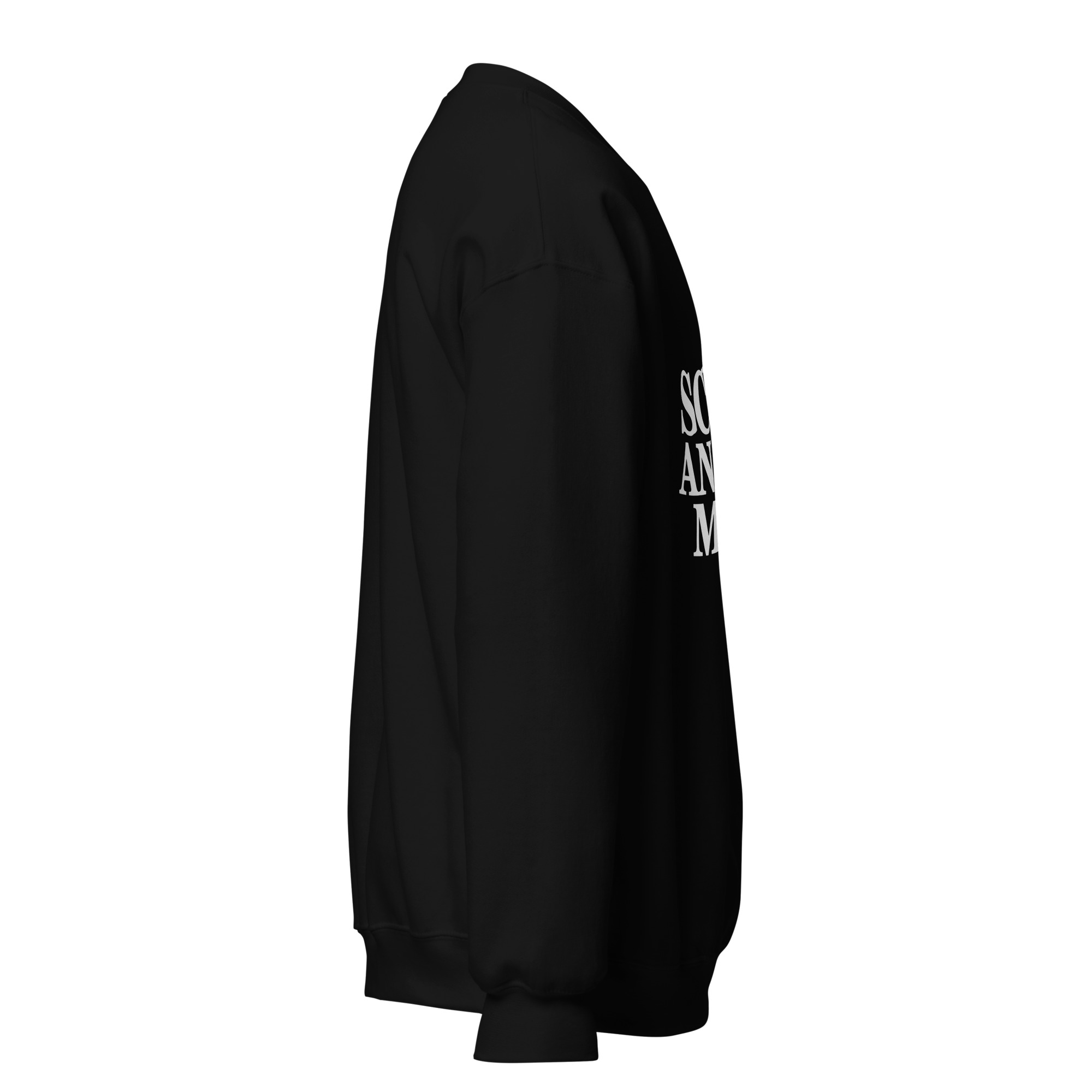 Ramsi Aliani – Schuld an guter Musik Pullover 4 Ramsi Aliani – Schuld an guter Musik Pullover – Bild 4